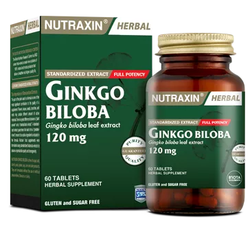 Ginkgo Biloba