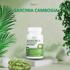 Garcinia Cambogia
